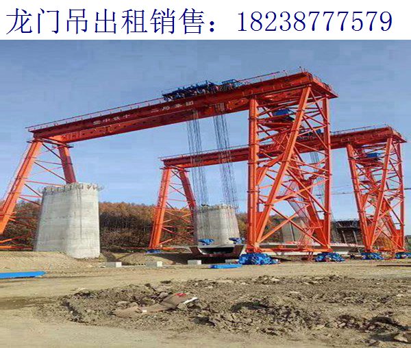 20噸龍門吊安裝 遼寧遼陽龍門吊廠家