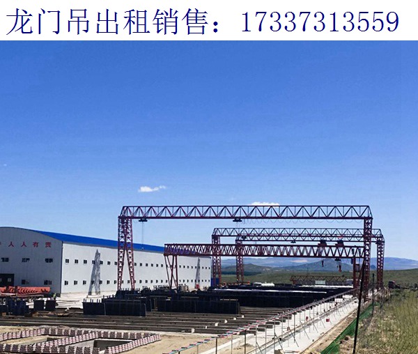 湖北宜昌龍門吊廠家 檢測工作面臨的挑戰(zhàn)