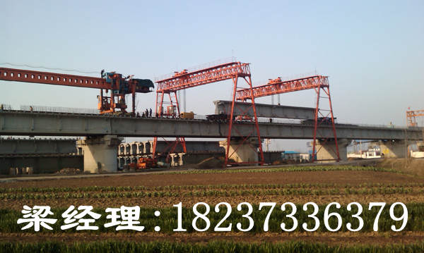 湖南長沙門式起重機(jī)廠家