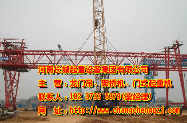  福建福州單梁門式起重機(jī)