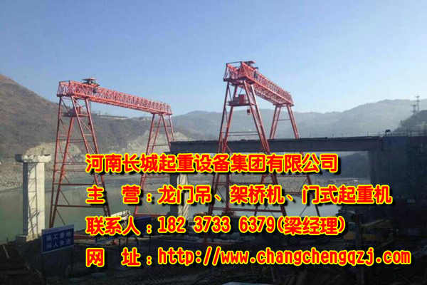 廣東湛江門式起重機廠家