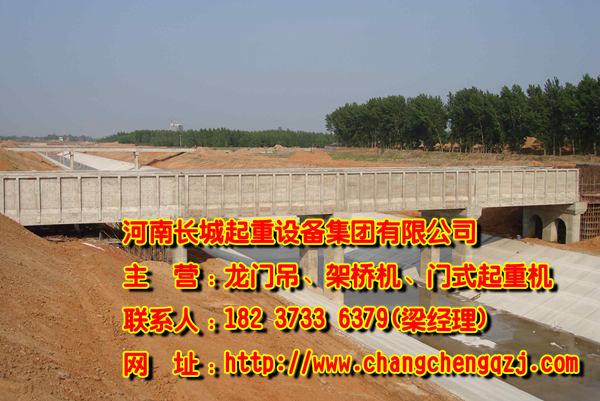 河南平頂山架橋機公司