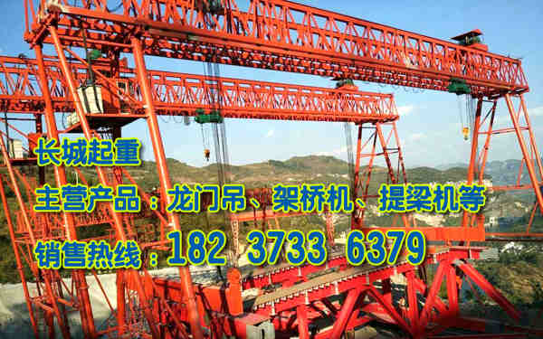 天津門式起重機廠家